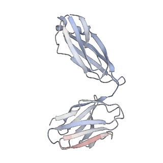 26195_7tyv_K_v1-1
Structure of Lassa Virus glycoprotein (Josiah) bound to Fab 25.10C