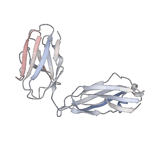26195_7tyv_L_v1-1
Structure of Lassa Virus glycoprotein (Josiah) bound to Fab 25.10C