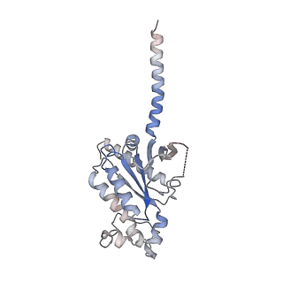 26196_7tyw_A_v1-1
Human Amylin1 Receptor in complex with Gs and salmon calcitonin peptide