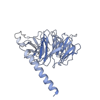 26196_7tyw_B_v1-1
Human Amylin1 Receptor in complex with Gs and salmon calcitonin peptide