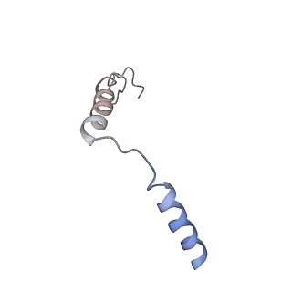 26196_7tyw_G_v1-1
Human Amylin1 Receptor in complex with Gs and salmon calcitonin peptide