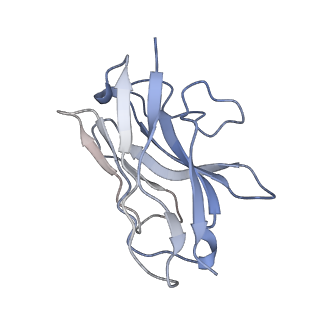 26196_7tyw_N_v1-1
Human Amylin1 Receptor in complex with Gs and salmon calcitonin peptide