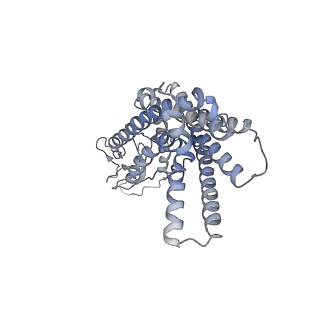 26196_7tyw_R_v1-1
Human Amylin1 Receptor in complex with Gs and salmon calcitonin peptide