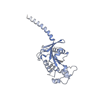 26197_7tyx_A_v1-1
Human Amylin2 Receptor in complex with Gs and rat amylin peptide