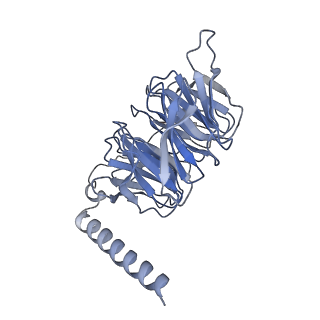 26197_7tyx_B_v1-1
Human Amylin2 Receptor in complex with Gs and rat amylin peptide