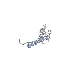 26197_7tyx_E_v1-1
Human Amylin2 Receptor in complex with Gs and rat amylin peptide