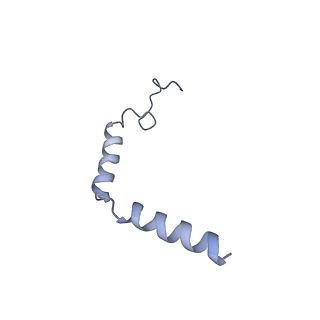 26197_7tyx_G_v1-1
Human Amylin2 Receptor in complex with Gs and rat amylin peptide