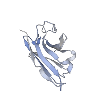26197_7tyx_N_v1-1
Human Amylin2 Receptor in complex with Gs and rat amylin peptide