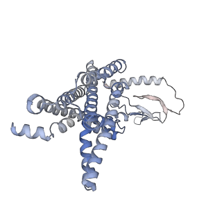 26197_7tyx_R_v1-1
Human Amylin2 Receptor in complex with Gs and rat amylin peptide