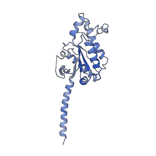 26199_7tyy_A_v1-1
Human Amylin2 Receptor in complex with Gs and salmon calcitonin peptide