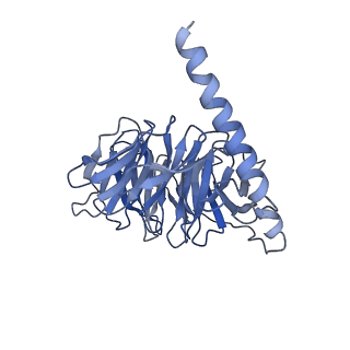 26199_7tyy_B_v1-1
Human Amylin2 Receptor in complex with Gs and salmon calcitonin peptide