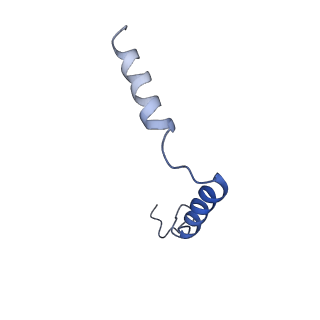 26199_7tyy_G_v1-1
Human Amylin2 Receptor in complex with Gs and salmon calcitonin peptide