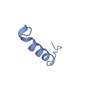 26199_7tyy_P_v1-1
Human Amylin2 Receptor in complex with Gs and salmon calcitonin peptide