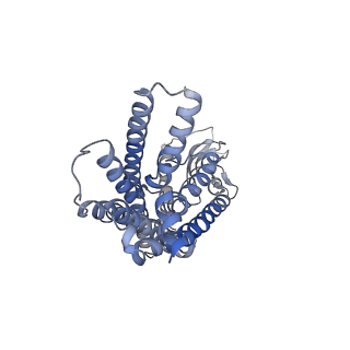 26199_7tyy_R_v1-1
Human Amylin2 Receptor in complex with Gs and salmon calcitonin peptide