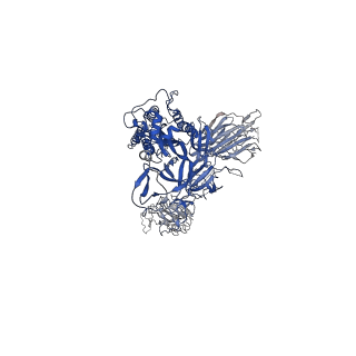 26200_7tyz_C_v1-1
Cryo-EM structure of SARS-CoV-2 spike in complex with FSR22, an anti-SARS-CoV-2 DARPin