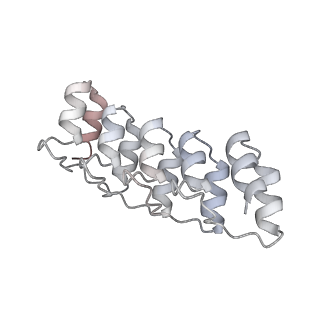 26200_7tyz_F_v1-1
Cryo-EM structure of SARS-CoV-2 spike in complex with FSR22, an anti-SARS-CoV-2 DARPin