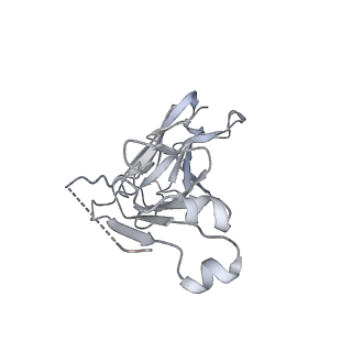 41710_8ty1_B_v1-0
Cryo-EM structure of coagulation factor VIII bound to NB2E9