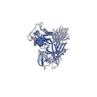 41725_8tyl_C_v1-0
Structural and biochemical rationale for Beta variant protein booster vaccine broad cross-neutralization of SARS-CoV-2