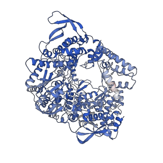 20585_6tz0_A_v1-1
In situ structure of BmCPV RNA-dependent RNA polymerase at abortive state