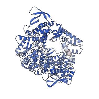 20585_6tz0_A_v1-2
In situ structure of BmCPV RNA-dependent RNA polymerase at abortive state