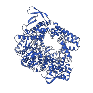 20586_6tz1_A_v1-1
In situ structure of BmCPV RNA-dependent RNA polymerase at early-elongation state