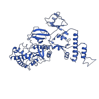 20586_6tz1_B_v1-1
In situ structure of BmCPV RNA-dependent RNA polymerase at early-elongation state