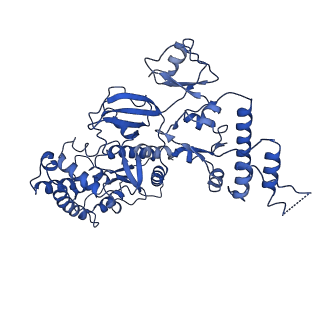 20586_6tz1_B_v1-2
In situ structure of BmCPV RNA-dependent RNA polymerase at early-elongation state