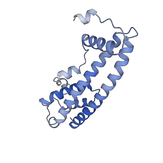 20588_6tz4_01_v1-2
CryoEM reconstruction of membrane-bound ESCRT-III filament composed of CHMP1B+IST1 (right-handed)