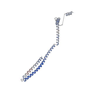 20588_6tz4_A_v1-2
CryoEM reconstruction of membrane-bound ESCRT-III filament composed of CHMP1B+IST1 (right-handed)