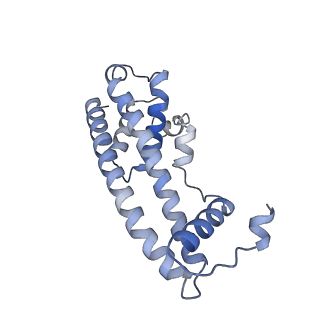 20588_6tz4_B_v1-2
CryoEM reconstruction of membrane-bound ESCRT-III filament composed of CHMP1B+IST1 (right-handed)