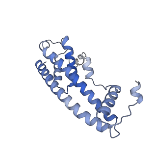 20588_6tz4_CA_v1-2
CryoEM reconstruction of membrane-bound ESCRT-III filament composed of CHMP1B+IST1 (right-handed)