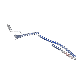 20588_6tz4_C_v1-2
CryoEM reconstruction of membrane-bound ESCRT-III filament composed of CHMP1B+IST1 (right-handed)