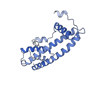 20588_6tz4_D_v1-2
CryoEM reconstruction of membrane-bound ESCRT-III filament composed of CHMP1B+IST1 (right-handed)