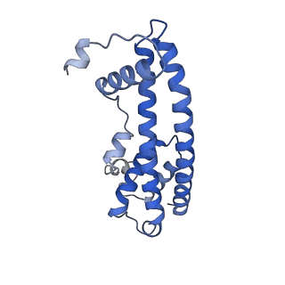 20588_6tz4_EA_v1-2
CryoEM reconstruction of membrane-bound ESCRT-III filament composed of CHMP1B+IST1 (right-handed)