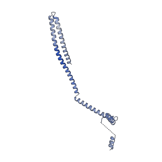 20588_6tz4_E_v1-2
CryoEM reconstruction of membrane-bound ESCRT-III filament composed of CHMP1B+IST1 (right-handed)