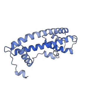 20588_6tz4_GA_v1-2
CryoEM reconstruction of membrane-bound ESCRT-III filament composed of CHMP1B+IST1 (right-handed)