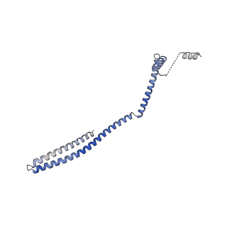 20588_6tz4_G_v1-2
CryoEM reconstruction of membrane-bound ESCRT-III filament composed of CHMP1B+IST1 (right-handed)