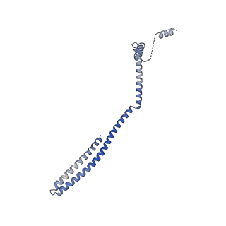 20588_6tz4_HA_v1-2
CryoEM reconstruction of membrane-bound ESCRT-III filament composed of CHMP1B+IST1 (right-handed)