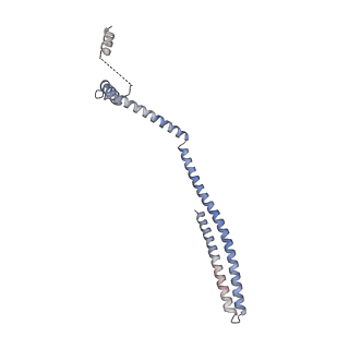 20588_6tz4_HB_v1-2
CryoEM reconstruction of membrane-bound ESCRT-III filament composed of CHMP1B+IST1 (right-handed)