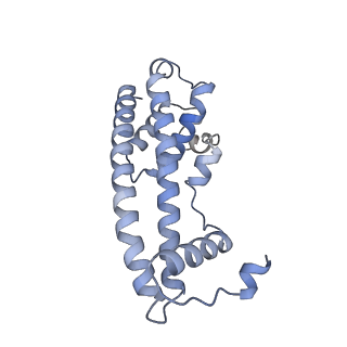 20588_6tz4_H_v1-1
CryoEM reconstruction of membrane-bound ESCRT-III filament composed of CHMP1B+IST1 (right-handed)