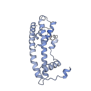 20588_6tz4_H_v1-2
CryoEM reconstruction of membrane-bound ESCRT-III filament composed of CHMP1B+IST1 (right-handed)