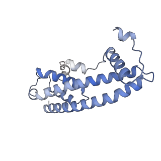 20588_6tz4_J_v1-2
CryoEM reconstruction of membrane-bound ESCRT-III filament composed of CHMP1B+IST1 (right-handed)