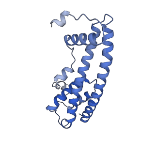 20588_6tz4_KA_v1-2
CryoEM reconstruction of membrane-bound ESCRT-III filament composed of CHMP1B+IST1 (right-handed)