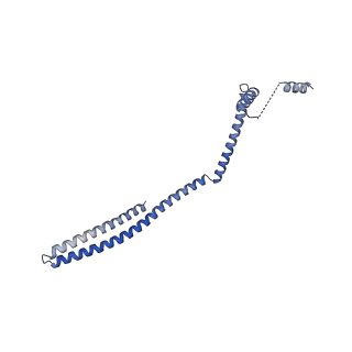 20588_6tz4_NA_v1-2
CryoEM reconstruction of membrane-bound ESCRT-III filament composed of CHMP1B+IST1 (right-handed)