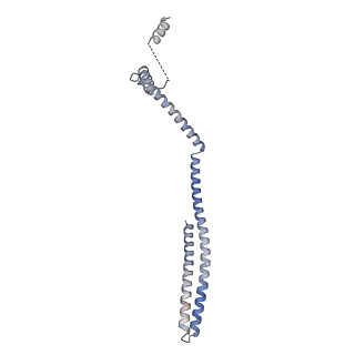 20588_6tz4_NB_v1-2
CryoEM reconstruction of membrane-bound ESCRT-III filament composed of CHMP1B+IST1 (right-handed)