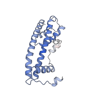 20588_6tz4_N_v1-1
CryoEM reconstruction of membrane-bound ESCRT-III filament composed of CHMP1B+IST1 (right-handed)