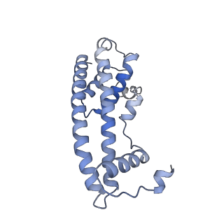 20588_6tz4_OA_v1-2
CryoEM reconstruction of membrane-bound ESCRT-III filament composed of CHMP1B+IST1 (right-handed)