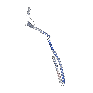 20588_6tz4_O_v1-1
CryoEM reconstruction of membrane-bound ESCRT-III filament composed of CHMP1B+IST1 (right-handed)