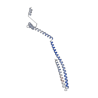 20588_6tz4_O_v1-2
CryoEM reconstruction of membrane-bound ESCRT-III filament composed of CHMP1B+IST1 (right-handed)