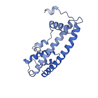 20588_6tz4_QA_v1-2
CryoEM reconstruction of membrane-bound ESCRT-III filament composed of CHMP1B+IST1 (right-handed)